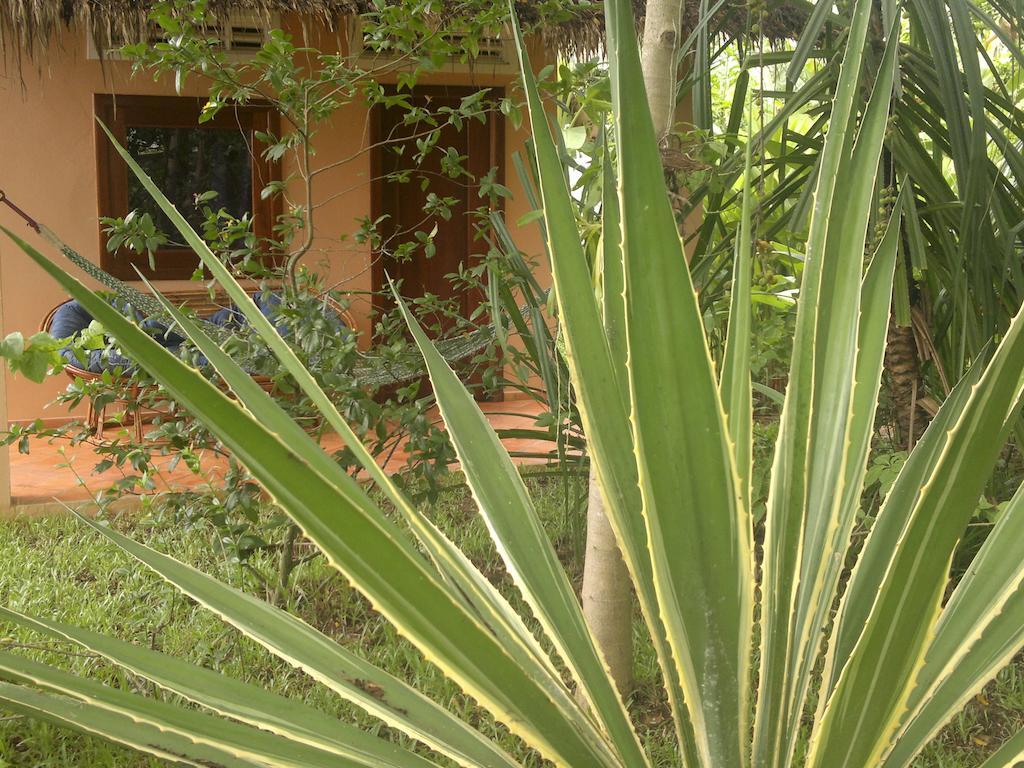Botanica Guesthouse Kep Extérieur photo