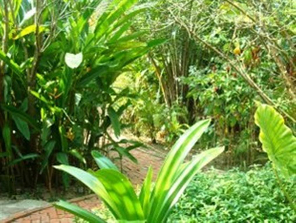 Botanica Guesthouse Kep Extérieur photo